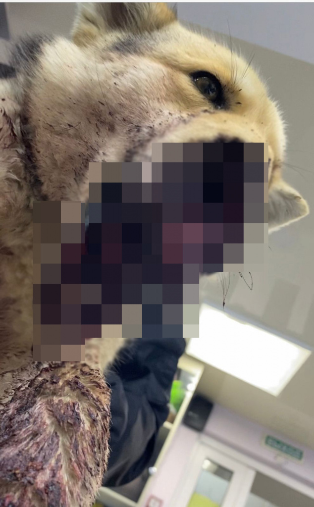 1ad25d32-3649-4fb2-98d4-05cf7e7f90a4.jpg 1ad25d32-3649-4fb2-98d4-05cf7e7f90a4.jpg