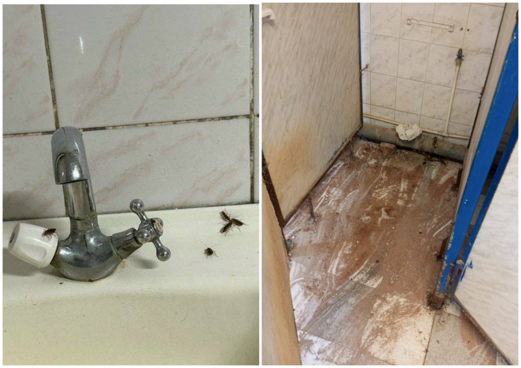 MyCollages - 2026-03-14T083140.368.jpg MyCollages - 2026-03-14T083140.368.jpg