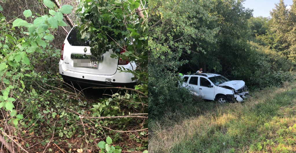 коллаж.jpg коллаж.jpg