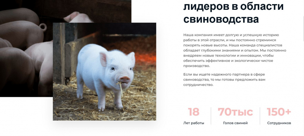 Скриншот 21-12-2025 205309.jpg