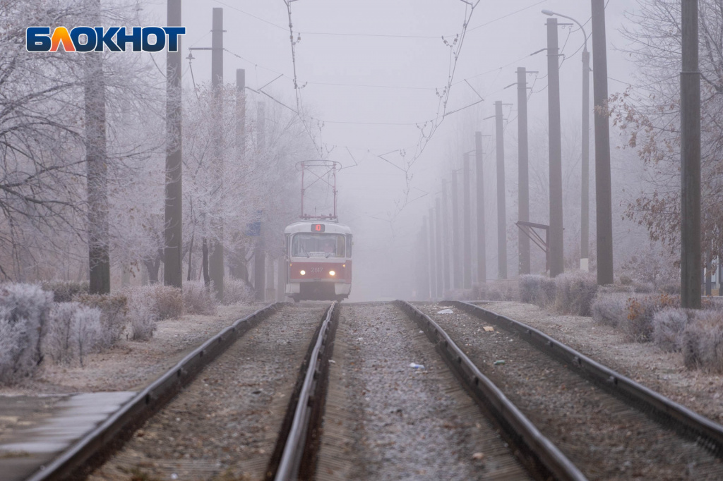 DSC06771.jpg DSC06771.jpg