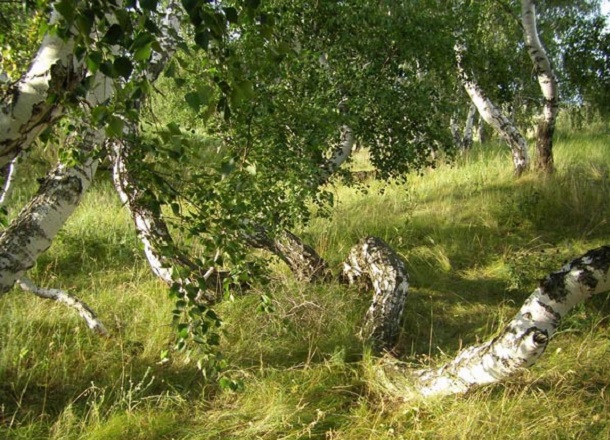 05.jpg