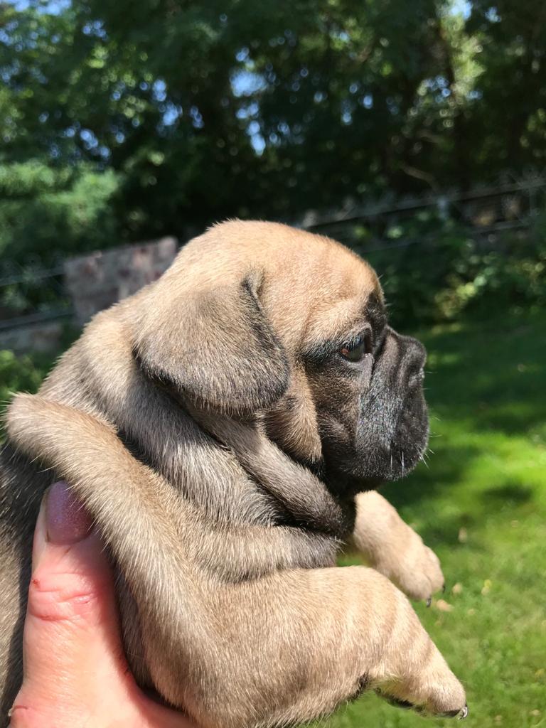 WhatsApp Image 2021-11-06 at 10.51.11.jpeg