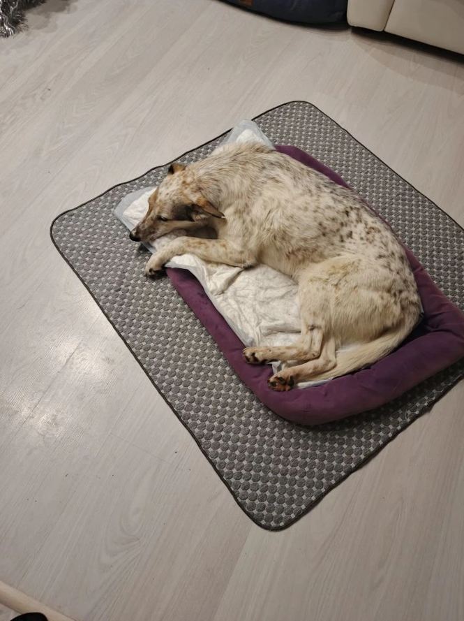 Скриншот 13-01-2026 070406.jpg Скриншот 13-01-2026 070406.jpg