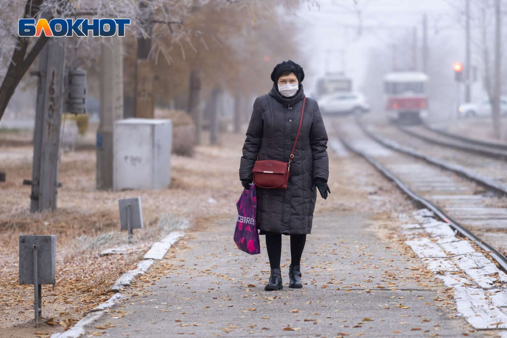 DSC06781.jpg DSC06781.jpg