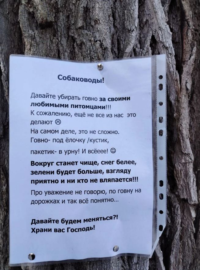 Скриншот 10-03-2026 125717.jpg Скриншот 10-03-2026 125717.jpg