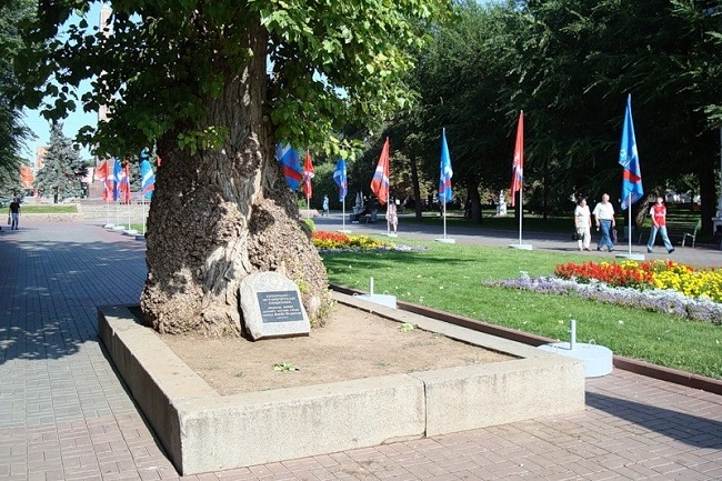 40503.jpg