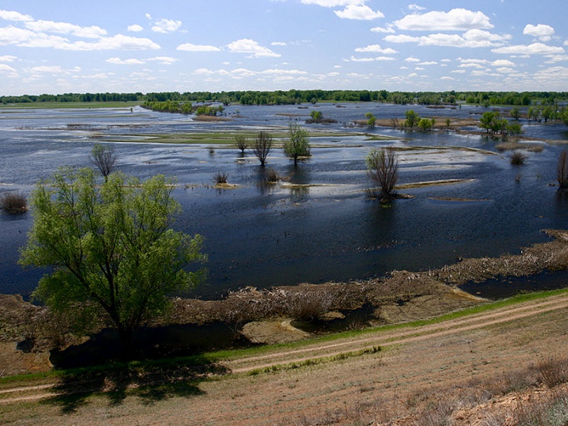 Volga-and-Akhtuba-floodplain-nature.jpg