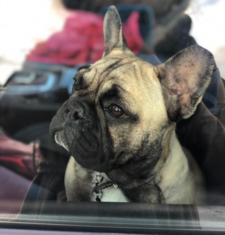 WhatsApp Image 2021-11-06 at 10.51.12.jpeg