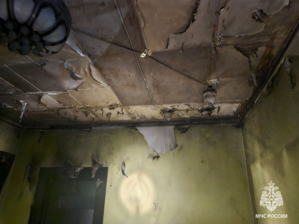 photo_2025-11-05_21-02-36.jpg photo_2025-11-05_21-02-36.jpg