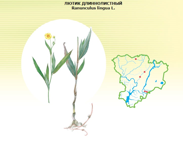 Безымянный.jpg