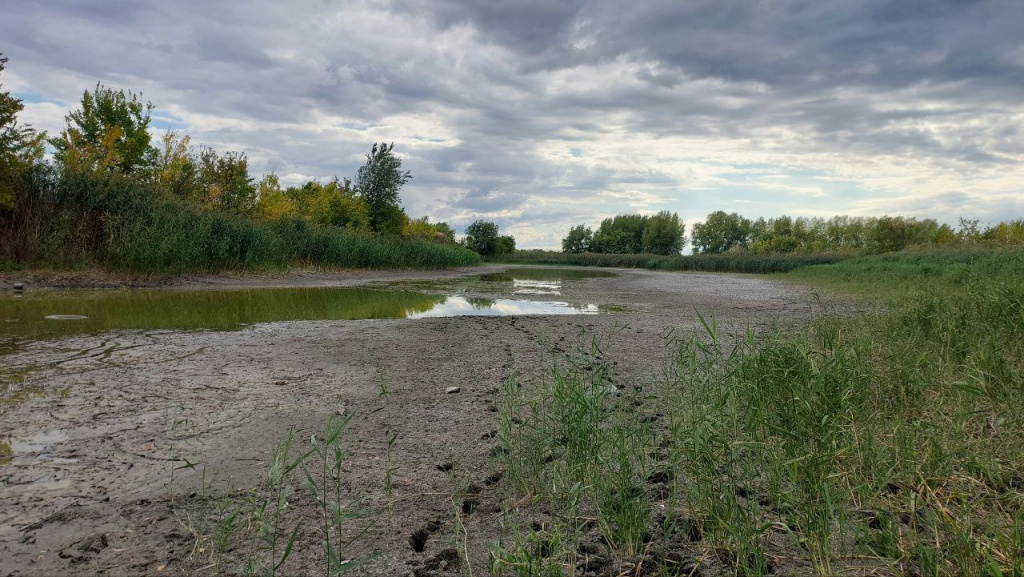 photo_2025-09-13_16-12-54 (3).jpg