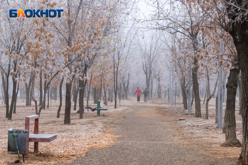 DSC06670.jpg DSC06670.jpg