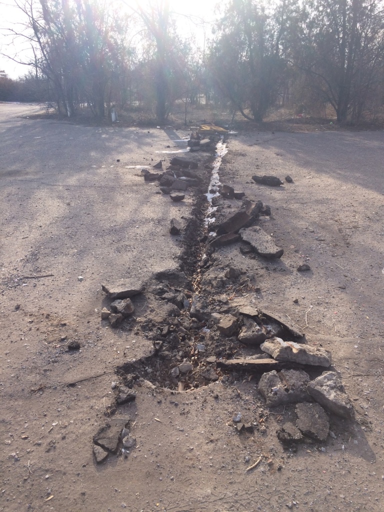 Власти напрочь забыли о его существовании»: самый большой в прошлом парк  Волгограда превратился в помойку и пепелище