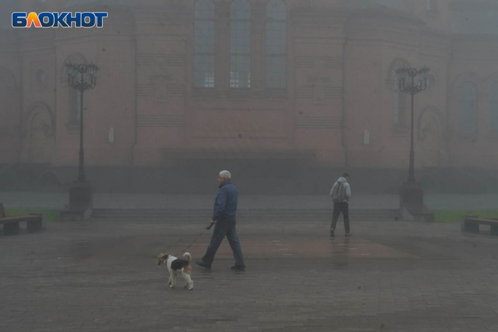 tuman_volgograd_osen8.jpg