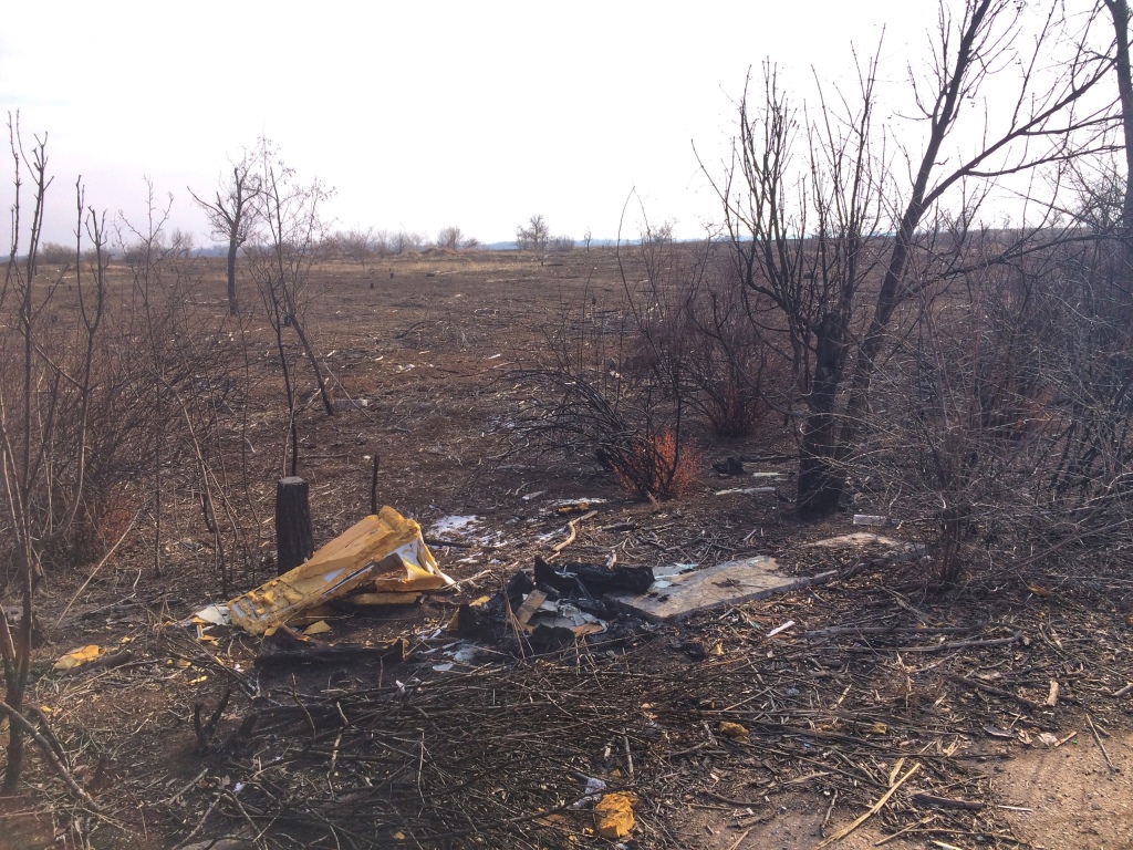 Власти напрочь забыли о его существовании»: самый большой в прошлом парк  Волгограда превратился в помойку и пепелище