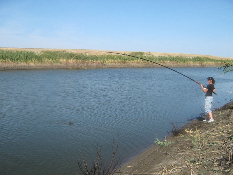 4My1RoAye98.jpg 4My1RoAye98.jpg