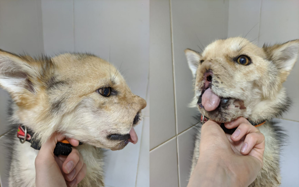 MyCollages (5).jpg MyCollages (5).jpg