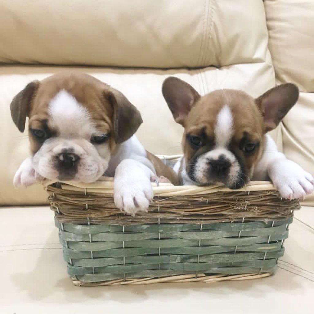 WhatsApp Image 2021-11-06 at 10.51.10.jpeg