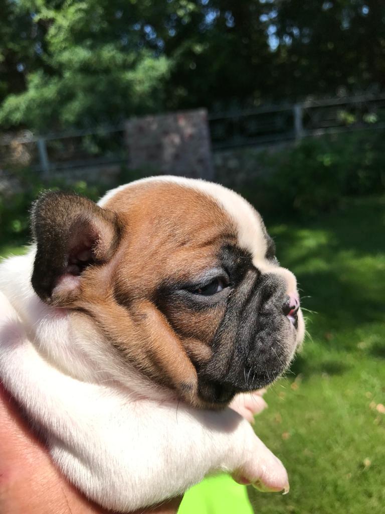 WhatsApp Image 2021-11-06 at 10.51.11 (1).jpeg