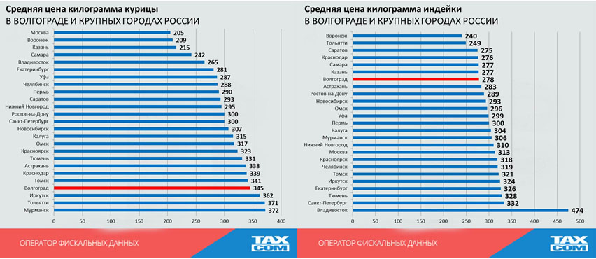 курятинаиндюшатина.jpg