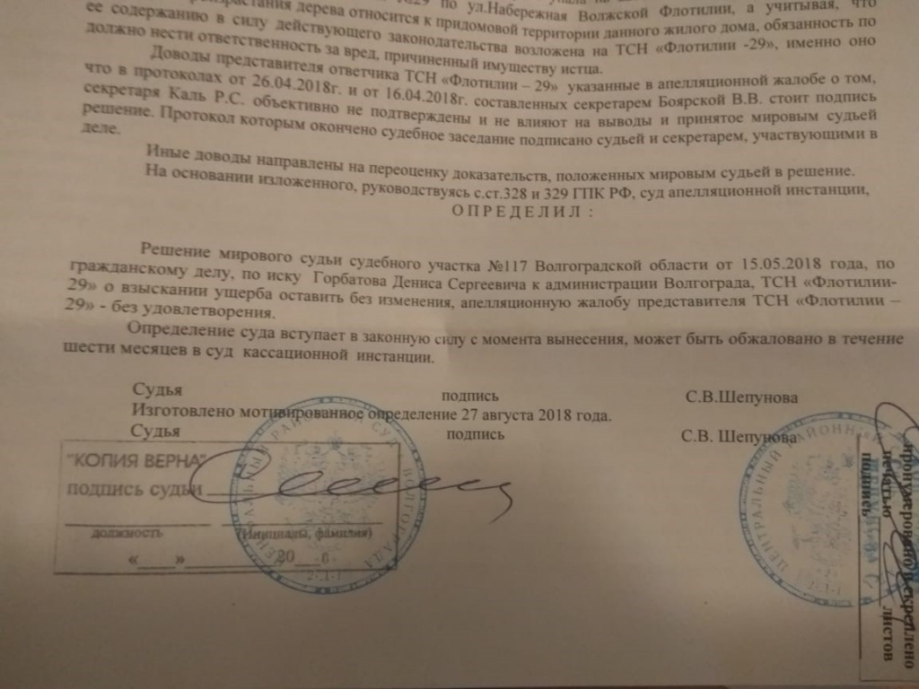 13 месяцев волгоградец выясняет, кто должен отвечать за упавшее на машину  дерево