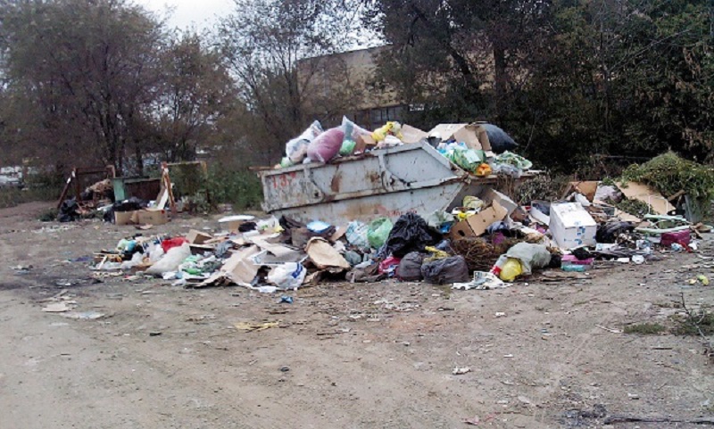 IMG10325.jpg