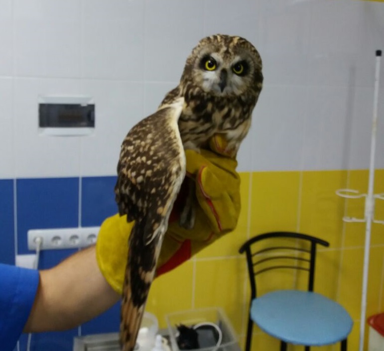 JXQWZMu_5xk.jpg JXQWZMu_5xk.jpg